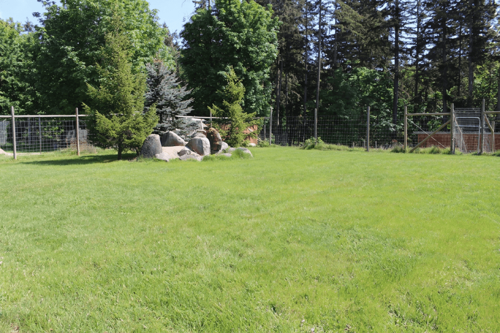 fully fenced dog park